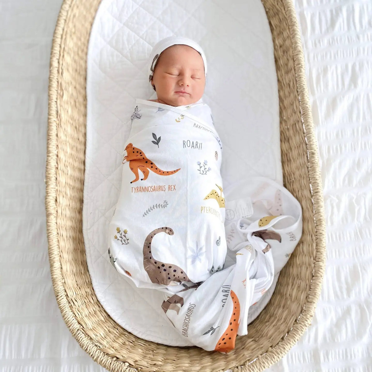 Dinosaur Dino Land Swaddle Set (Beanie and Swaddle)