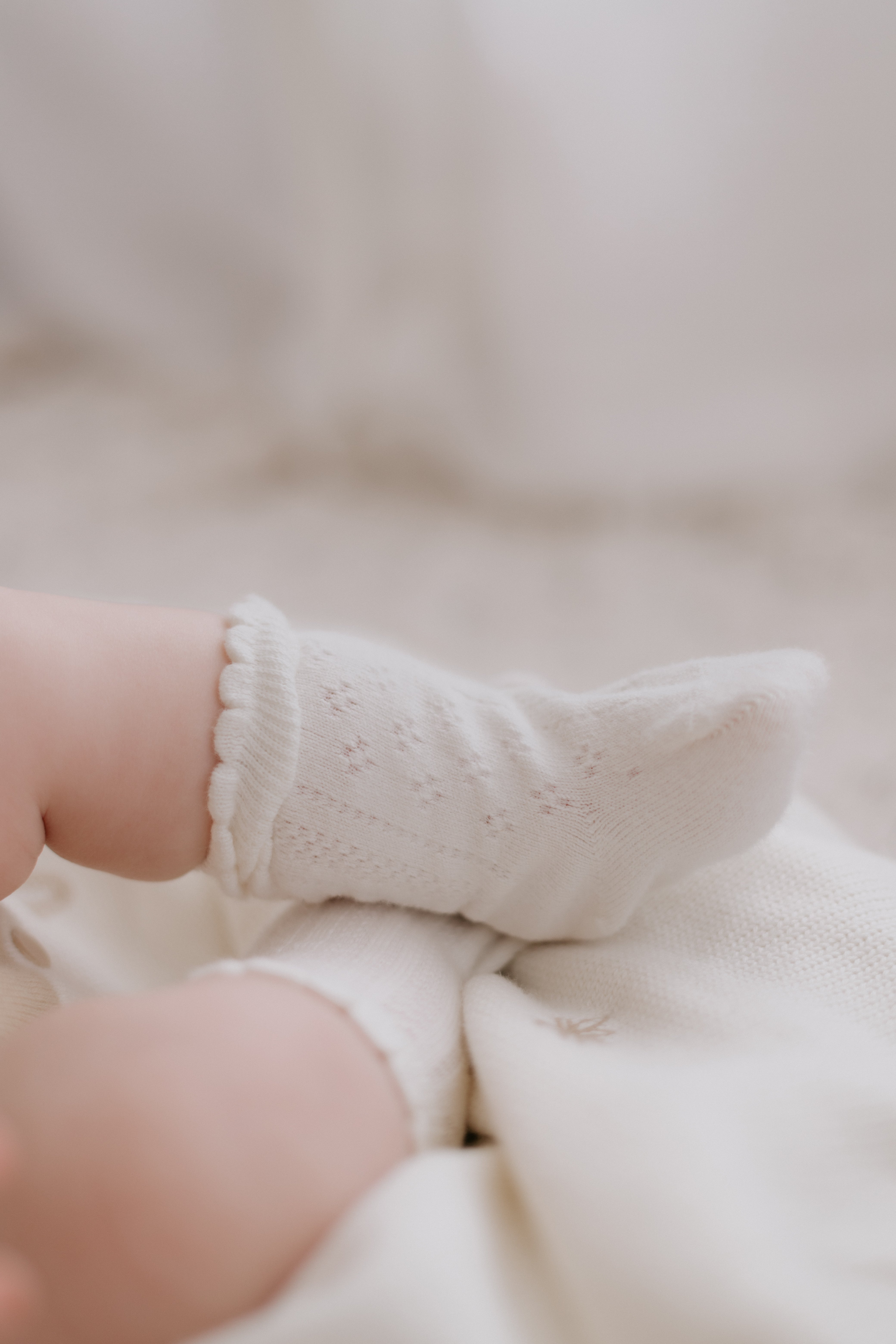 SOCKS | LACE | MILK