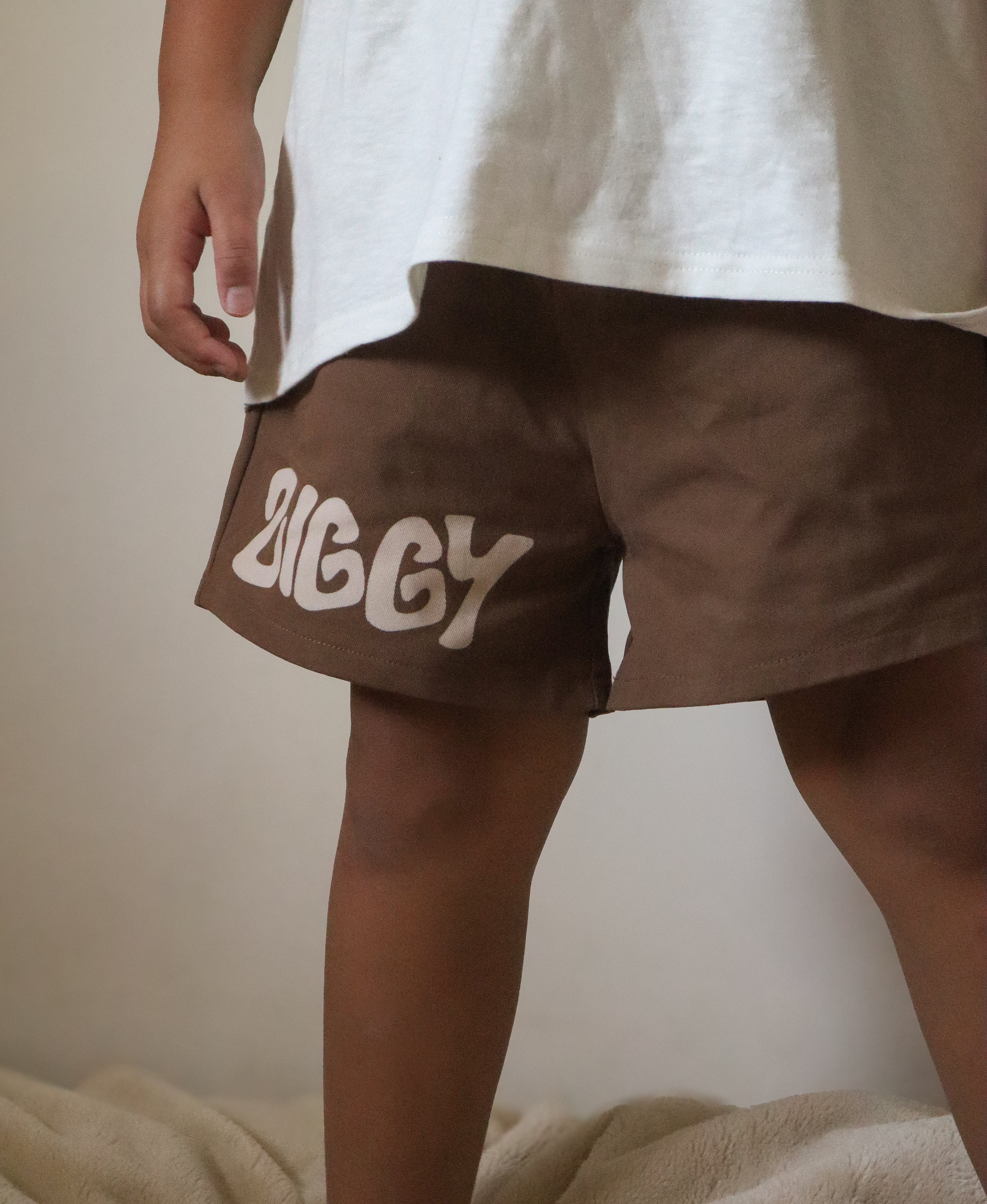 CANVAS SHORTS | ZIGGY